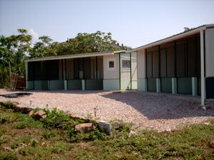 Boarding Kennel Cattery & House with land in village of Mama