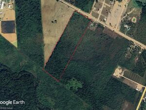 30 acres Belize Farm Land in Southern Belize