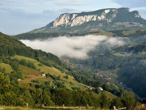 Land in the mountain area