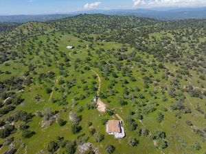 229 Acres,    Coarsegold, CA.    $1,190,000.     ID:   208DK