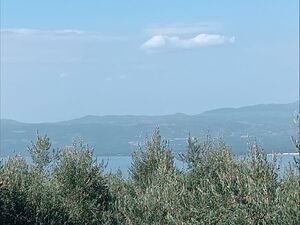 Stunning Olive Grove with Lake View and Cottage in İznik