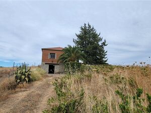 Countryhouse with winery and 1000 vines/Extremadura/Trujillo