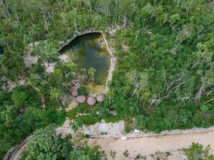 Premium Tulum Land with Private Community CENOTE! 500 sqm