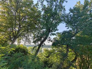 House with a view of the Danube and land of 30 ares