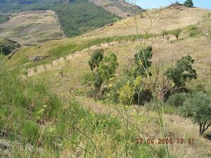 Panoramic land in Sicily - Finn Cda Feotto