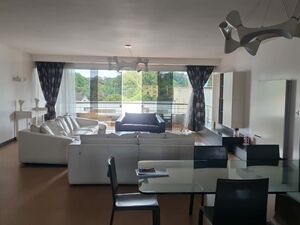 Magnificent 3 Bedrooms Penthouse Apartments in Riverside Dri