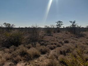 Freehold land for sale in Francistown 