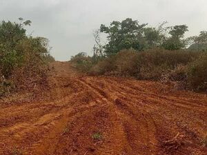 176 acres of land at Nkometou Yaoundé Cameroun