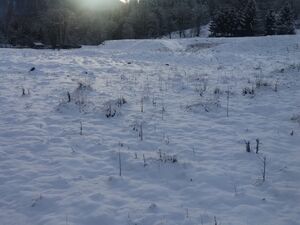 Land in Transylvania amazing mountain views