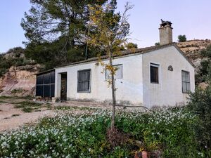 Legalised House, 25 acres, Own Well, Olives Almonds Pasture