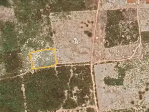 Zanzibar Land For Sale - Makanduchi Region | 1,436 SQM