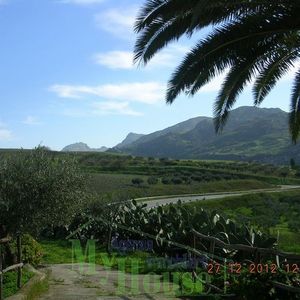 Villa and land in Sicily - Villa Perconti Cda Mavaro