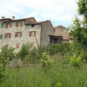 Panoramic villa traditional Tuscany Italy holidays 