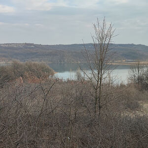 Forest bordered to a dam for sale!