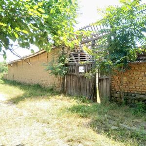 Rural House with 6 rooms, cellar, 1500m2 yard, vines, WELL, 