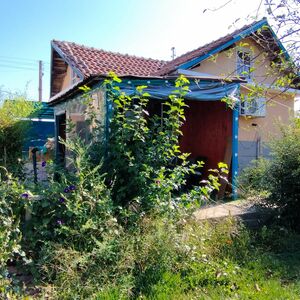 Two houses for sale in the village of Malomir, Yambol region