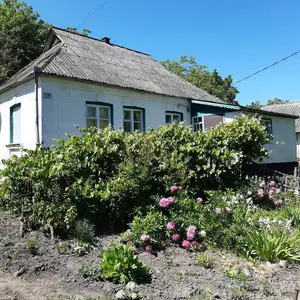 Smallholding property near the capital city