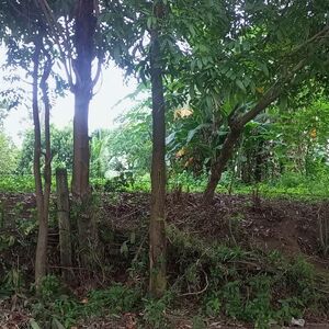 Residential Farm Lot in Aya, Talisay, Batangas