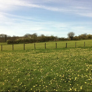 4800m2 plot of land with planning permission granted