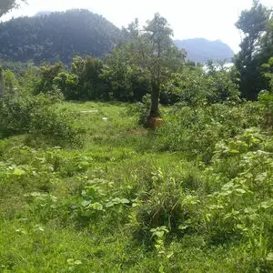 Land For Sale In Tete Morne, Grand Bay