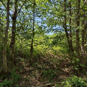 Large plot with ruin and spring nearby