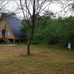 Beautiful Hazelnut Grove-Close to the Black Sea Turkey