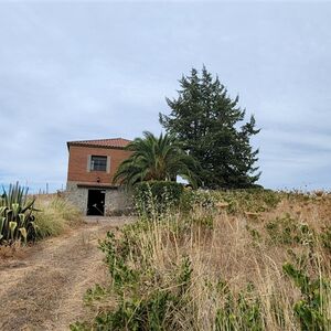 Countryhouse with winery and 1000 vines/Extremadura/Trujillo