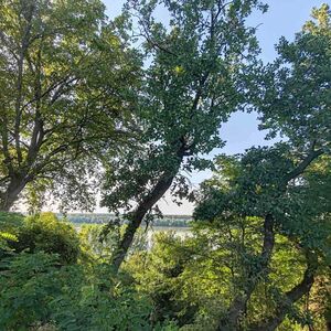 House with a view of the Danube and land of 30 ares