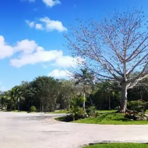 4650 sqft Lot, Essenza, Selvamar, Playa del Carmen