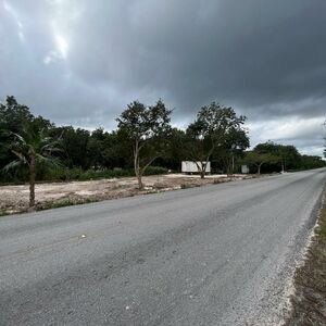 2152 Sqft Lot, Ruta Selva Urbana, Puerto Morelos