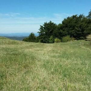 Plot below Cigote-Zlatibor