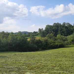 Sale of land - Tijanje village + water mill