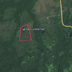 114 acres Belize Farm Land Coastal Plain Highway