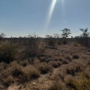 Freehold land for sale in Francistown 