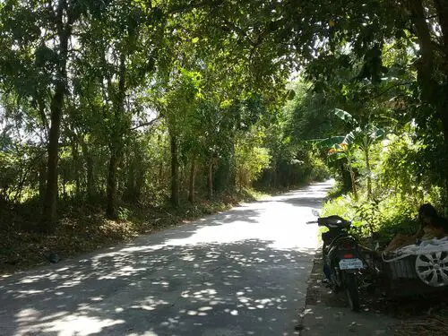 West border along road