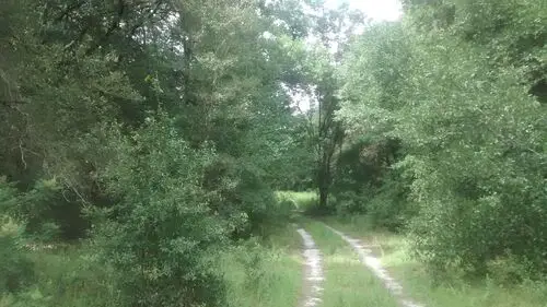 trail inside property