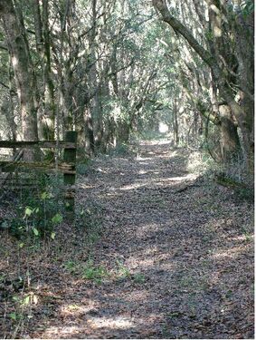 trail inside property