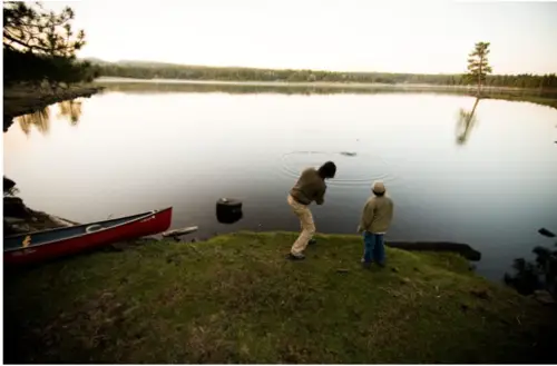 Alamo Lake near by