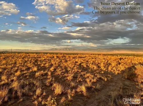 clean air of the desert