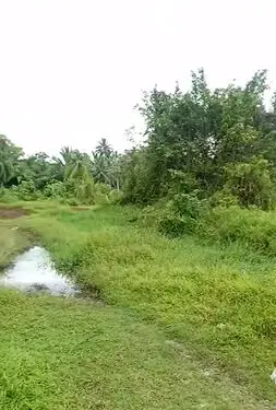 Mentawai, Sipora