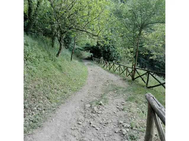 Path