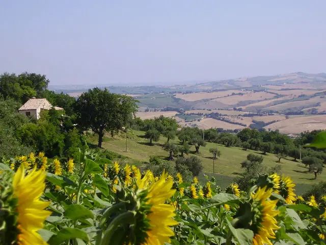 Across farm land to house