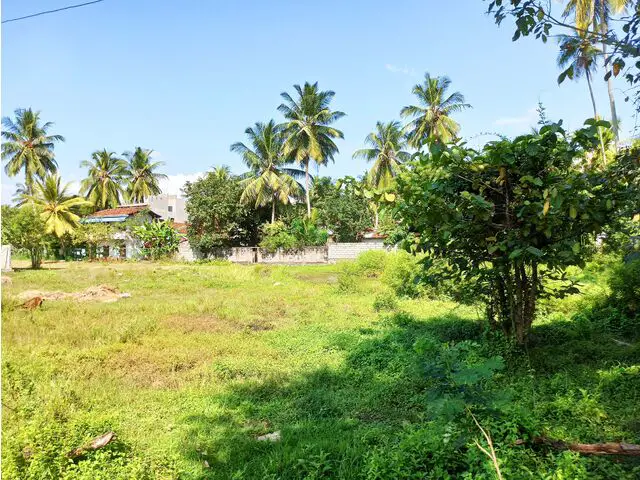 Main road corner view 2