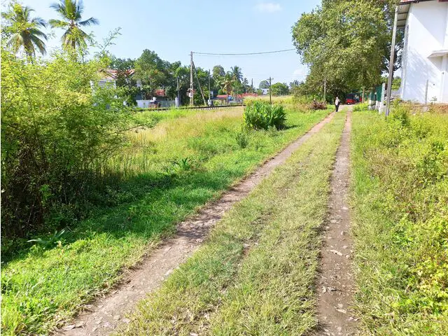 Access Road to enter plot