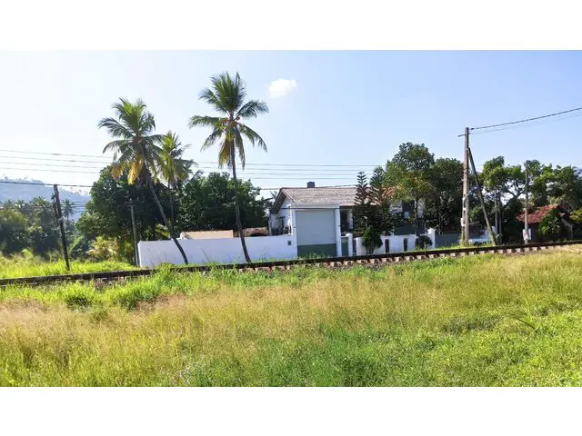 View from center to road