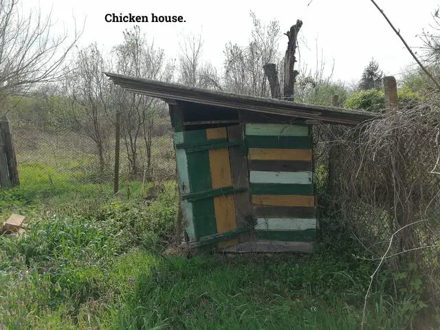 Chicken house