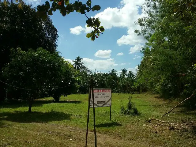 Driveway & planting field