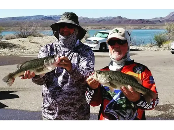 Alamo Lake State Park