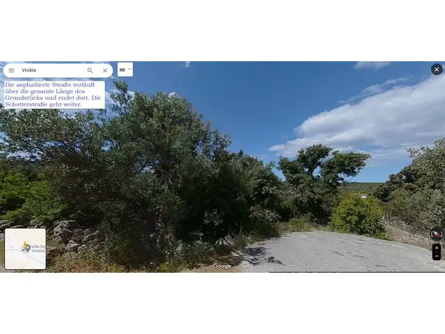 google view